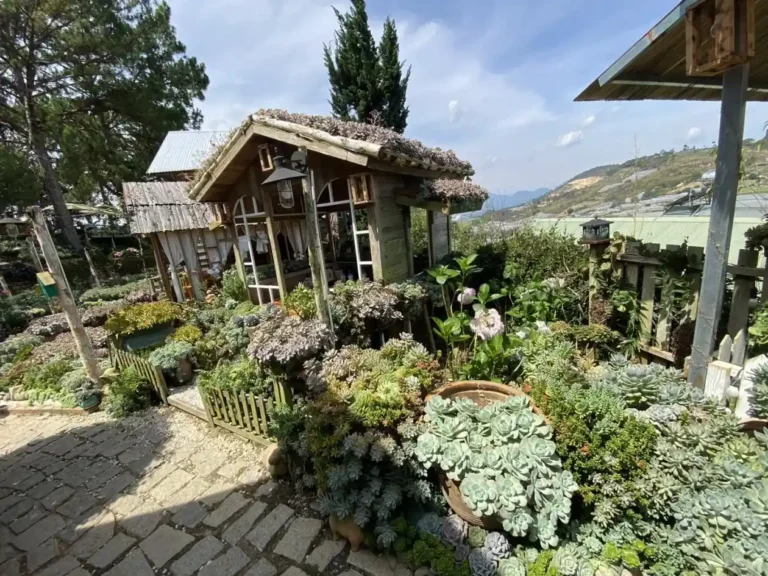 Ixora Homestay Coffee Da Lat 9 1 768x576