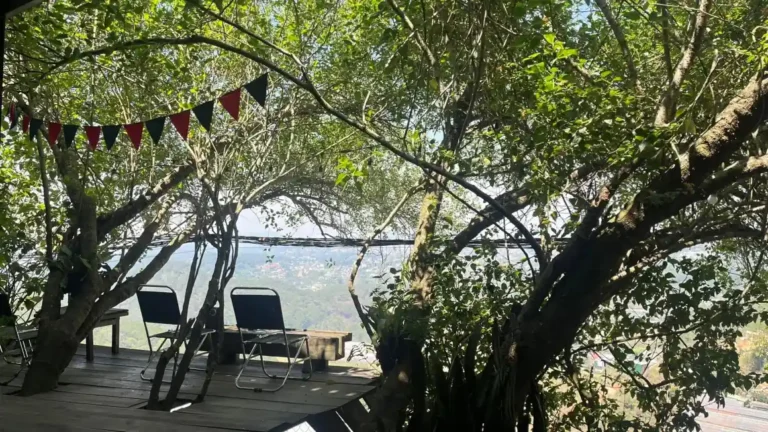 Kong cafe Da Lat10 1 768x432