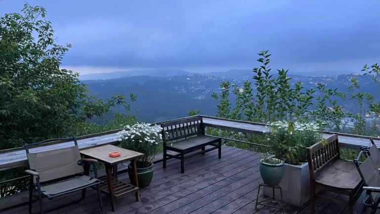Kong cafe Da Lat13 1 768x432