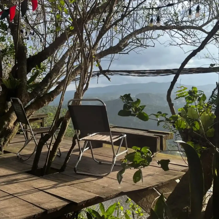 Kong cafe Da Lat5 1 768x768