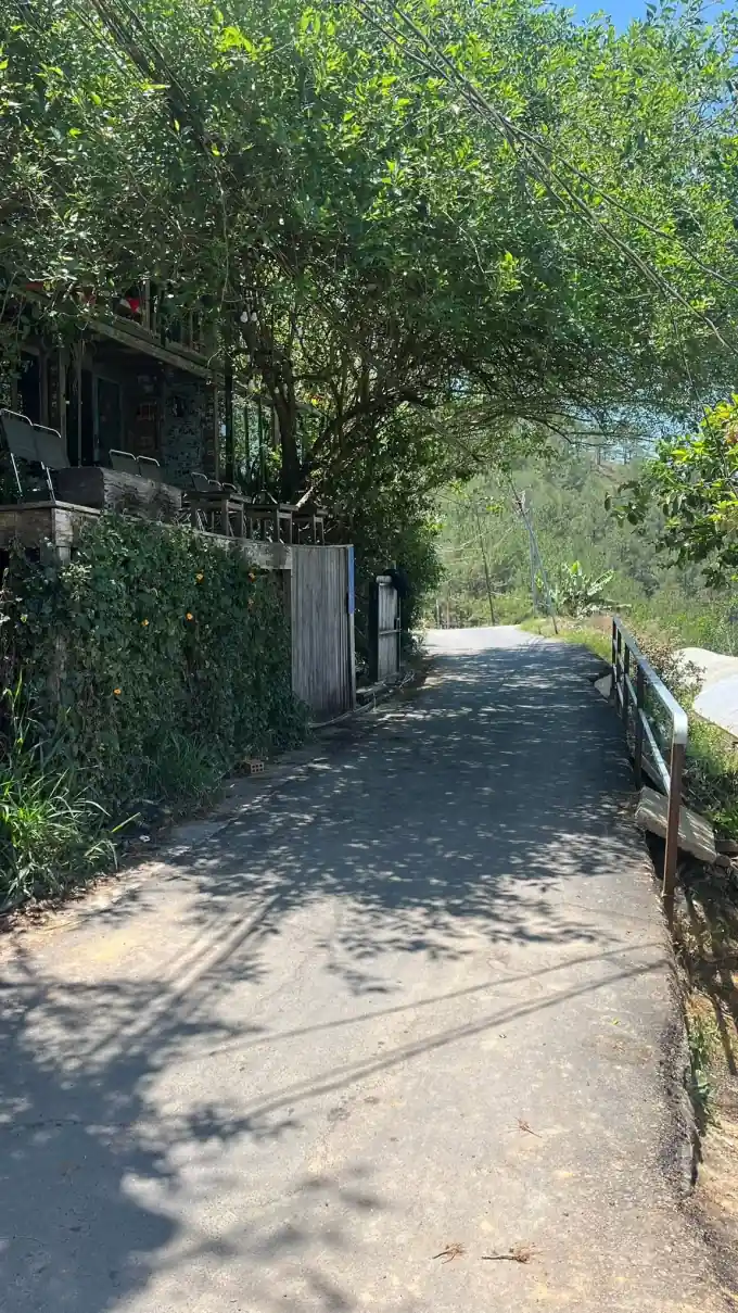 Kong cafe Da Lat8 1