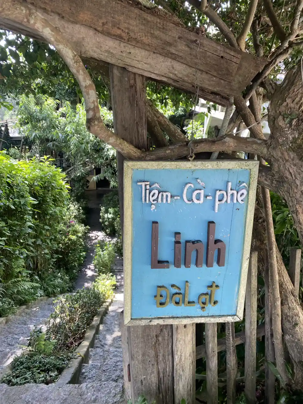 Biển gỗ Linh Cafe Đà Lạt dưới tán cây xanh