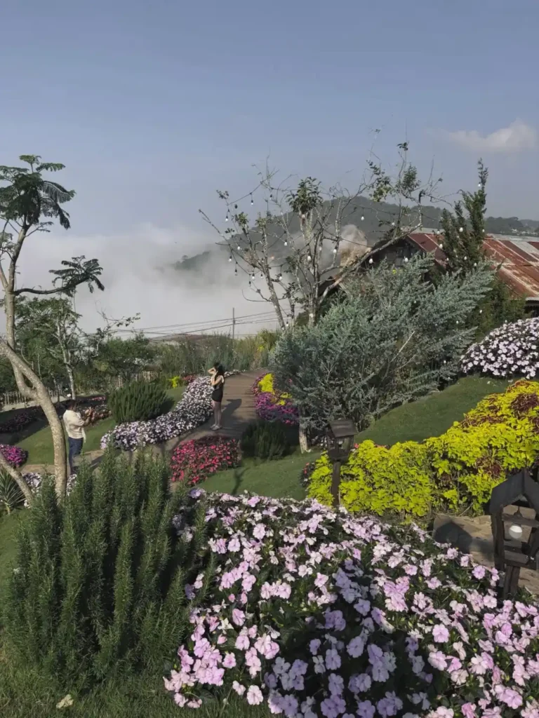 Thac may chill Da Lat 4 1 768x1024