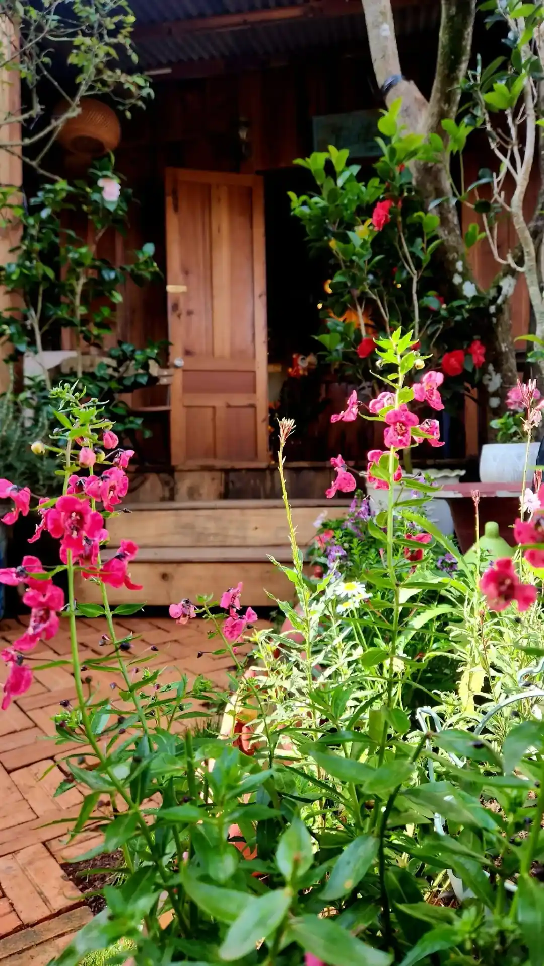 Hoa và nhà gỗ tại Tiệm Cà phê Thảnh Thơi Đà Lạt