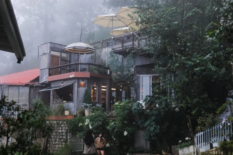 nook cafe da lat 4 1 768x512